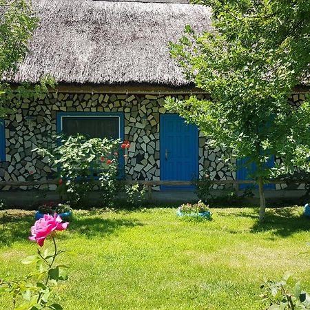 Pensiunea Iubire De Delta " La Traian " Murighiol Ngoại thất bức ảnh