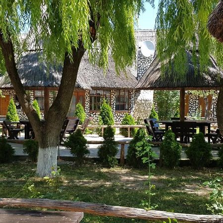 Pensiunea Iubire De Delta " La Traian " Murighiol Ngoại thất bức ảnh