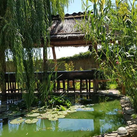 Pensiunea Iubire De Delta " La Traian " Murighiol Ngoại thất bức ảnh