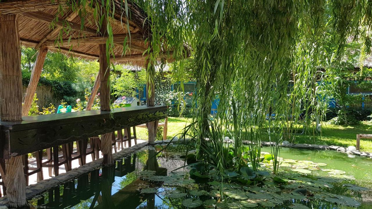 Pensiunea Iubire De Delta " La Traian " Murighiol Ngoại thất bức ảnh