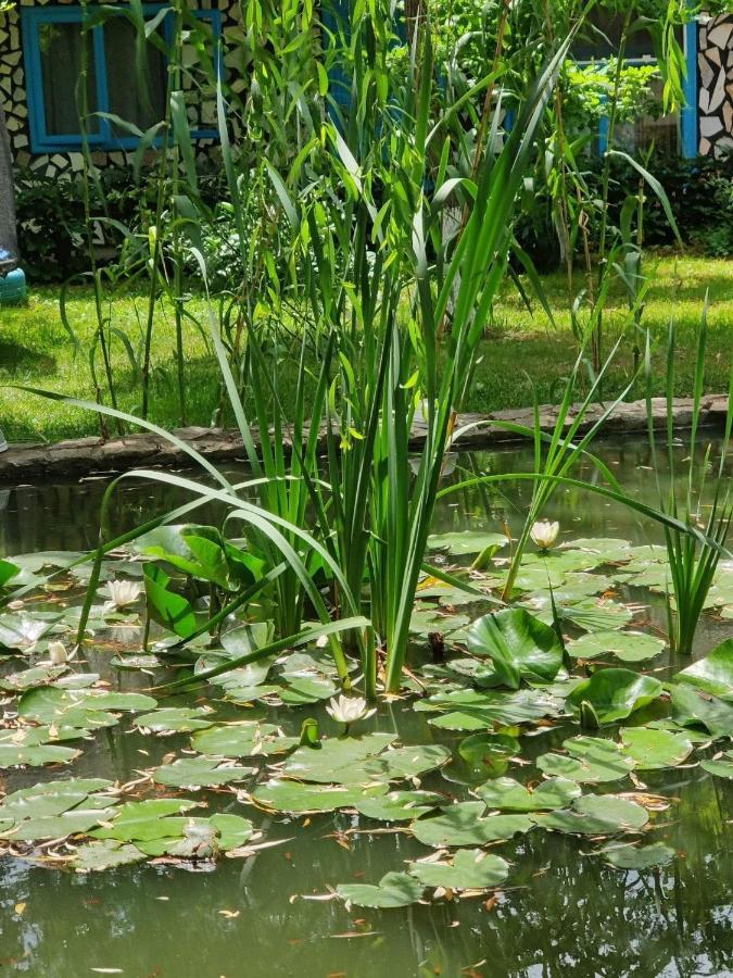 Pensiunea Iubire De Delta " La Traian " Murighiol Ngoại thất bức ảnh