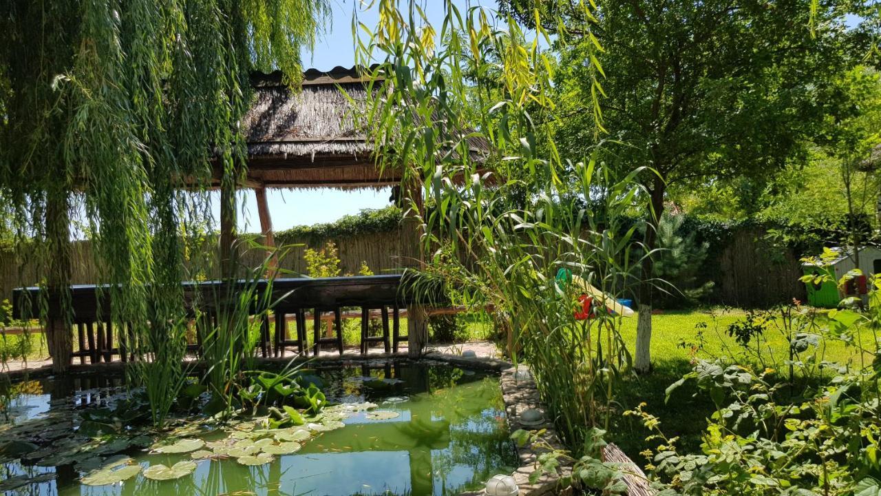 Pensiunea Iubire De Delta " La Traian " Murighiol Ngoại thất bức ảnh
